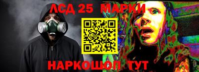 сатива Кингисепп