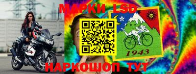 сатива Кингисепп