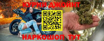 сатива Кингисепп