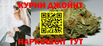сатива Кингисепп