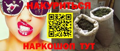 сатива Кингисепп