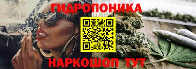 ешки Кимры