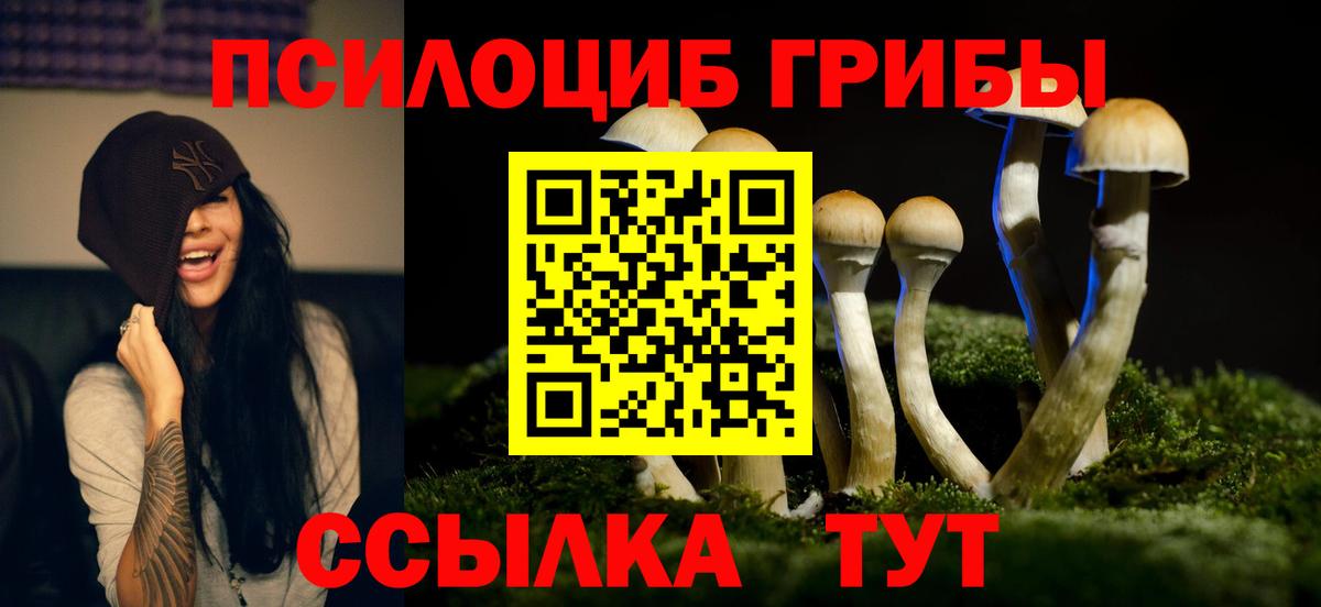 Галлюциногенные грибы ЛСД Знаменск