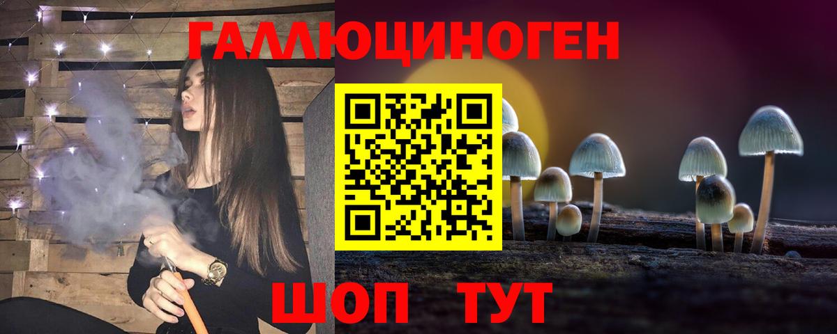 Псилоцибиновые грибы прущие грибы  Галлюциногенные грибы Psilocybine cubensis  купить  сайты  Вход с VPN  Знаменск 